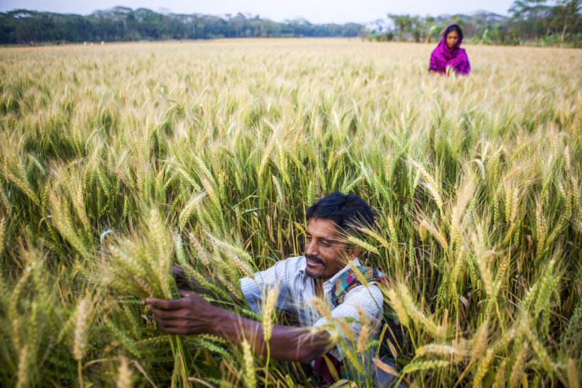 iDE PC Food Security Extended Caption