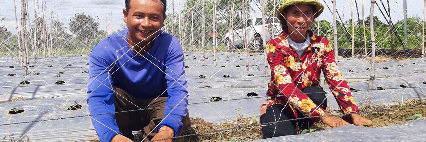 I De Global Cambodia Key Project Csmart Hero