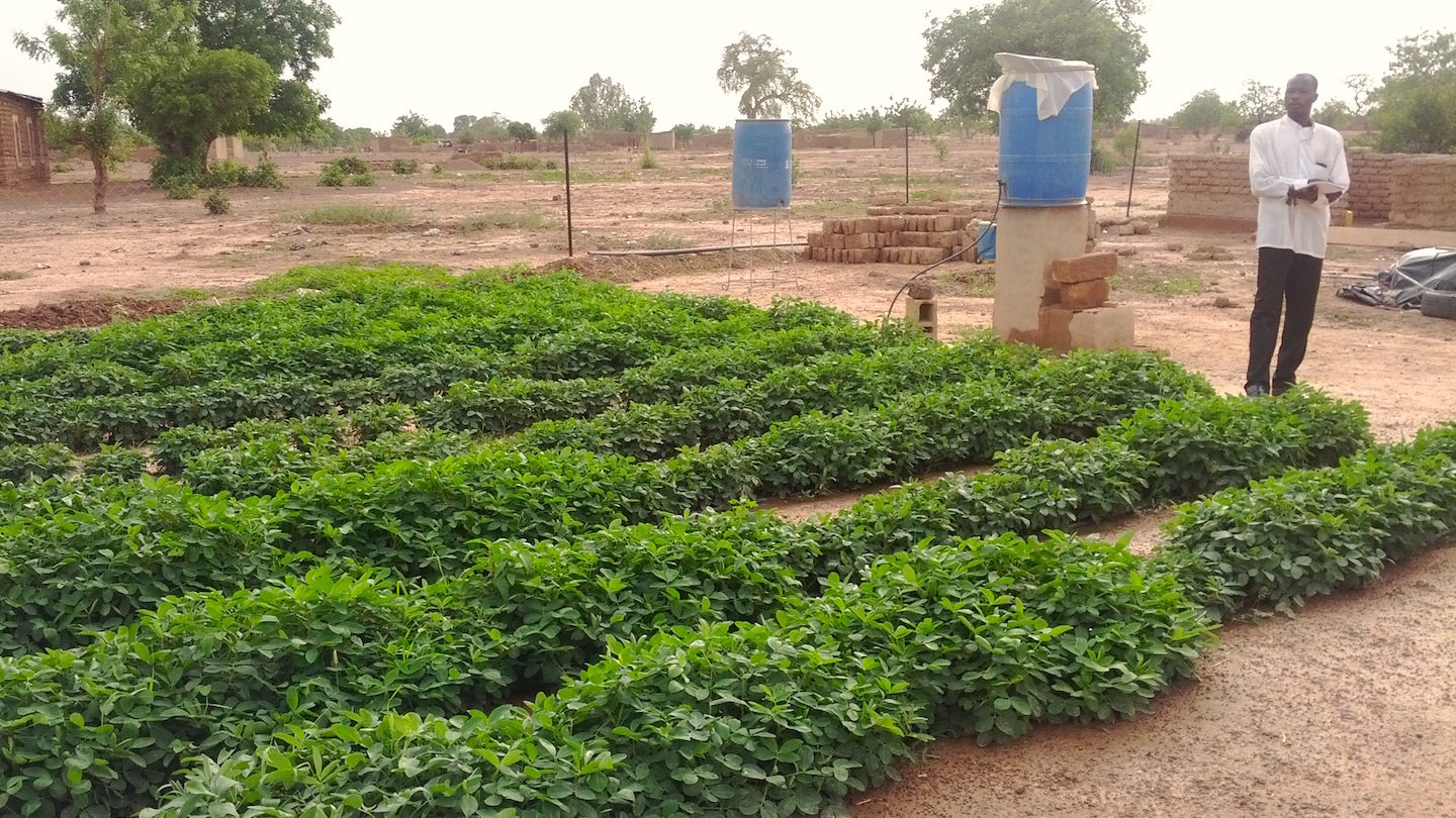 iDE P Burkina Faso Show Dont Tell 1