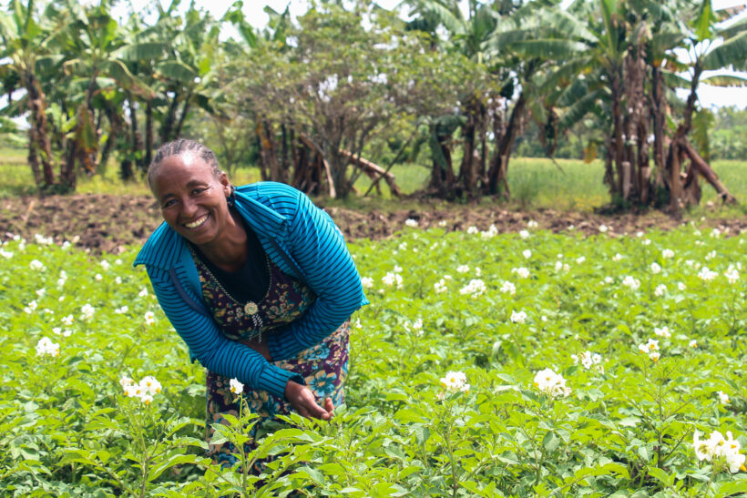 Ethiopia Wegs Callout