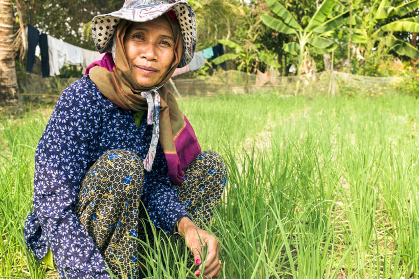 Ltf Cambodia Call Out 3X2