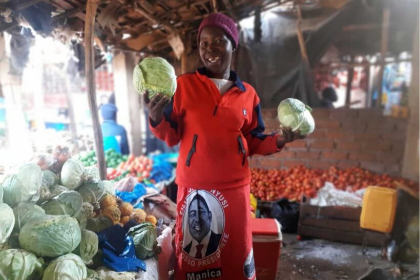 iDE MOZ Celestina Arnaldo Callout 3X2