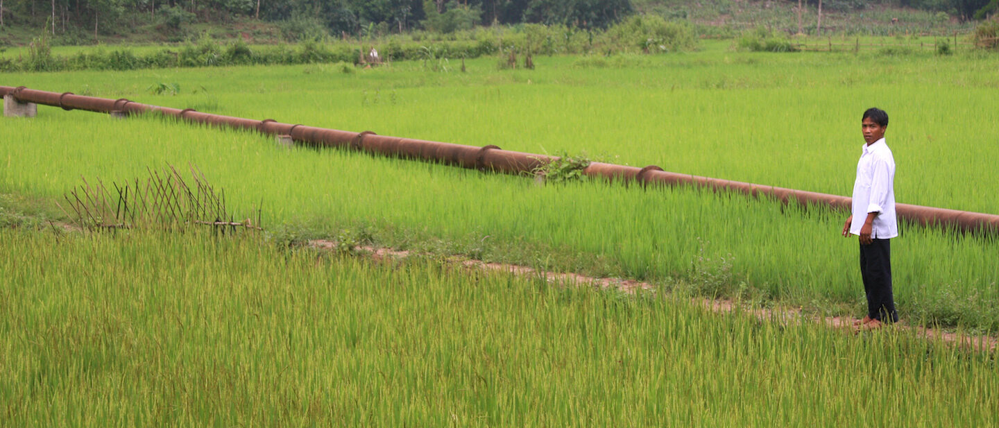 iDE Hero Vietnam Planting On Straight and Narrow