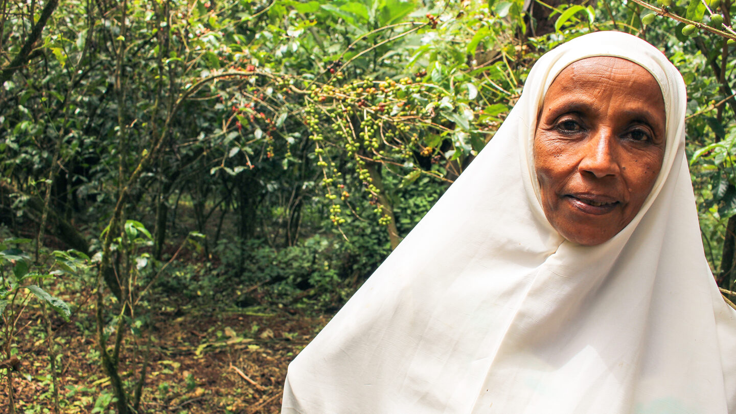 I De P Eth Jimma Jafare Coffee Farmer 16X9