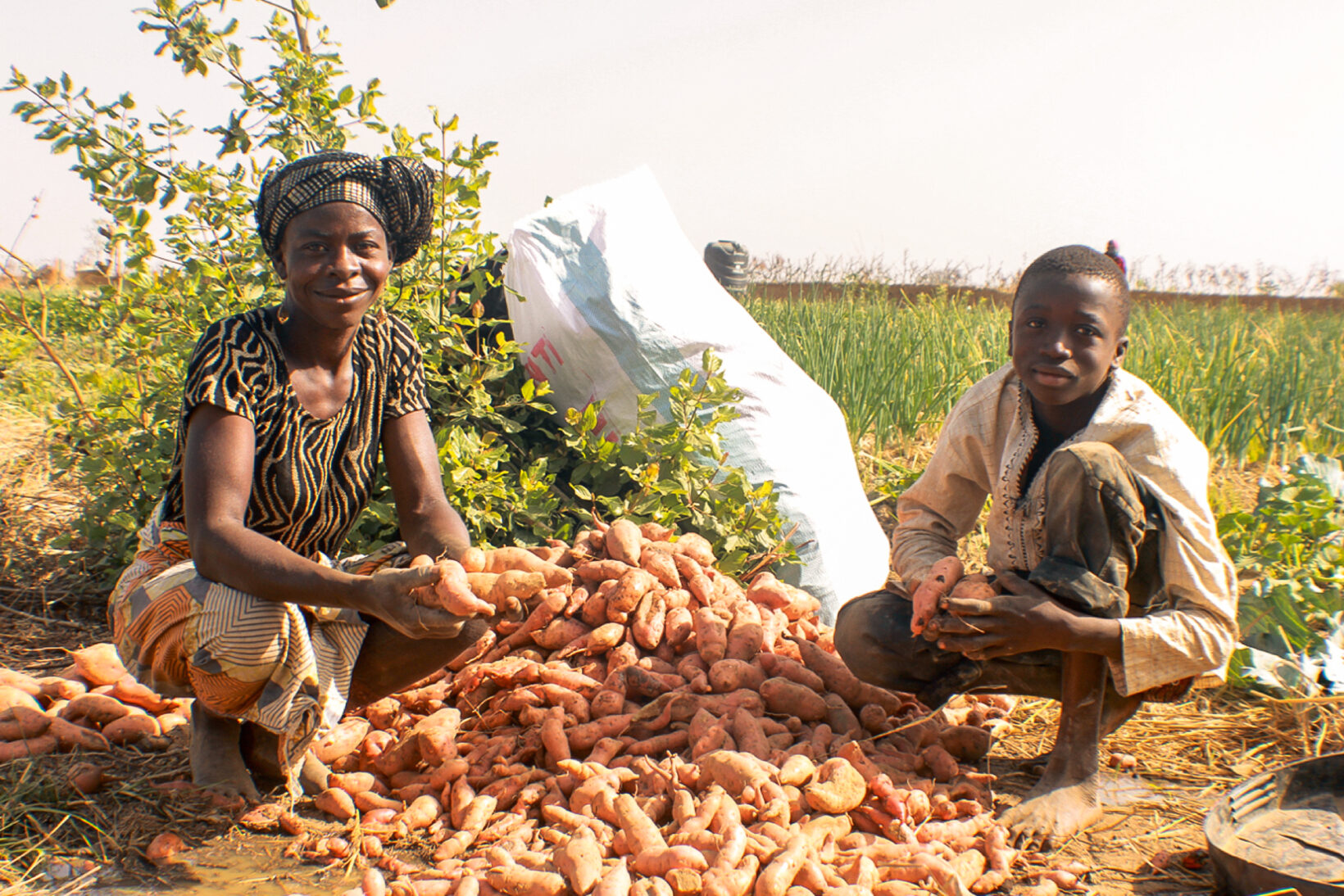 iDE Building the marketplace to improve lives in Ghana since 2010