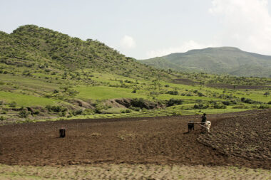 I De Ex Ethiopia Landscape