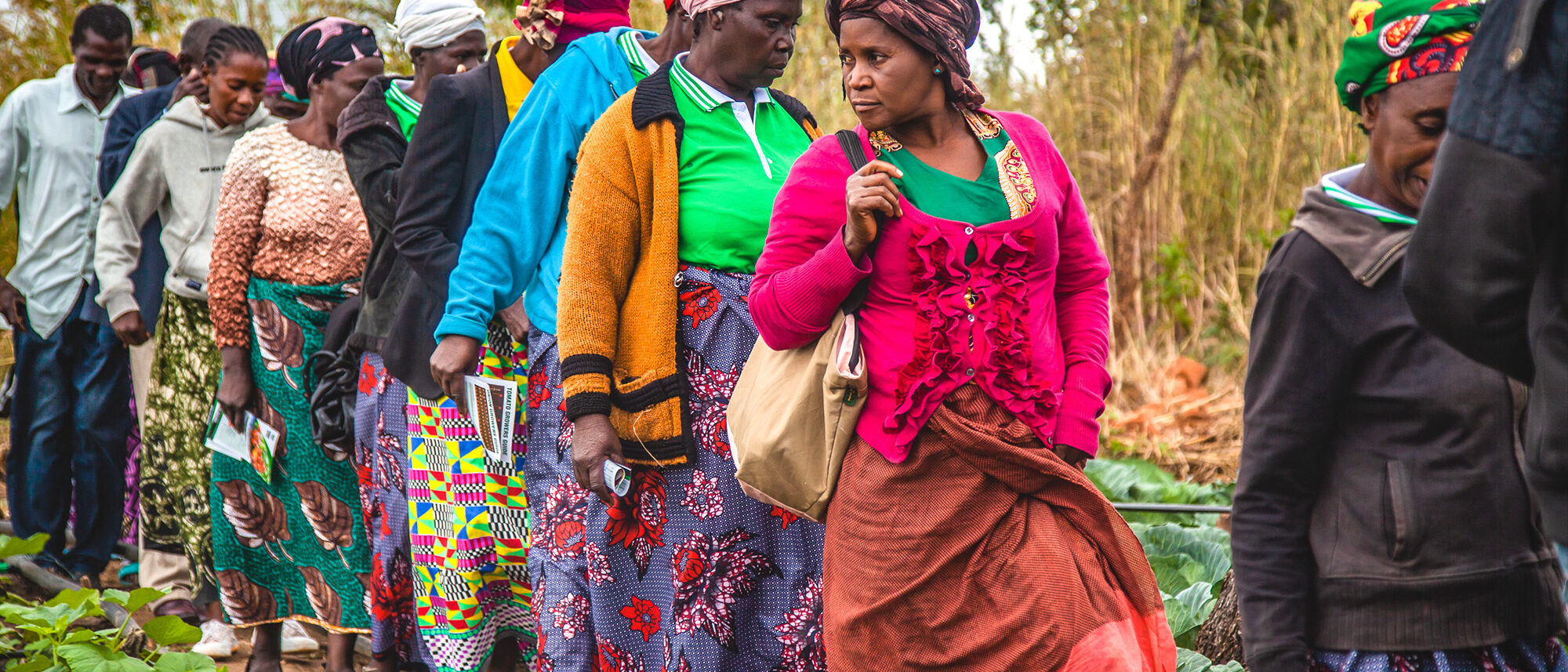 iDE | Supporting small-scale agriculture and finance options in Zambia