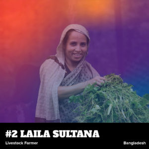 Laila Website No Hover