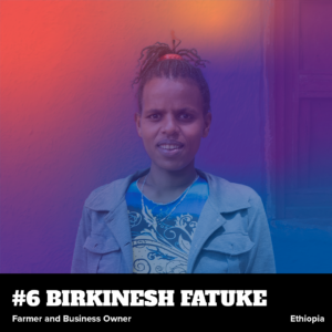 Birkinesh Website No Hover