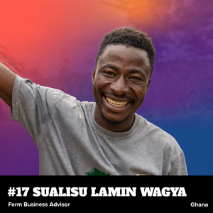 Sualisu Website Hover