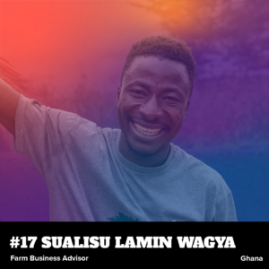 Sualisu Website No Hover