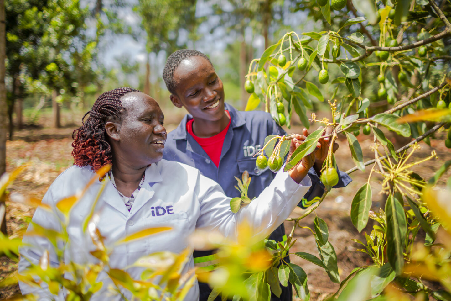 iDE Global | Agriculture