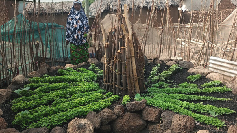 16 9 Ghana Keyhole Garden