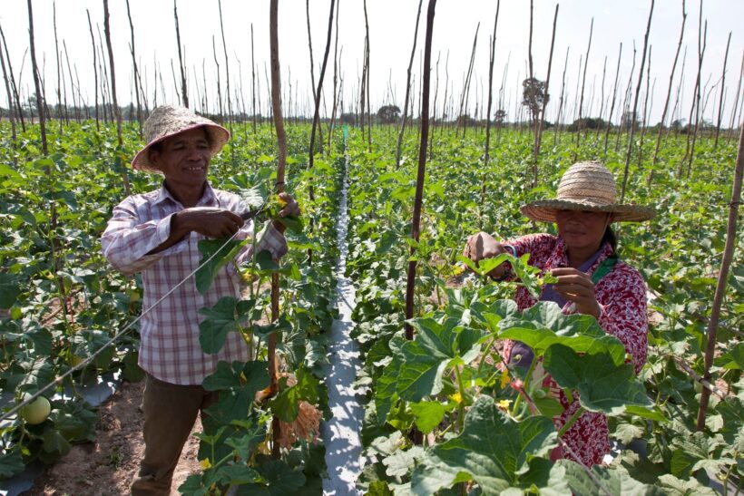 20120320 Cambodia 3969