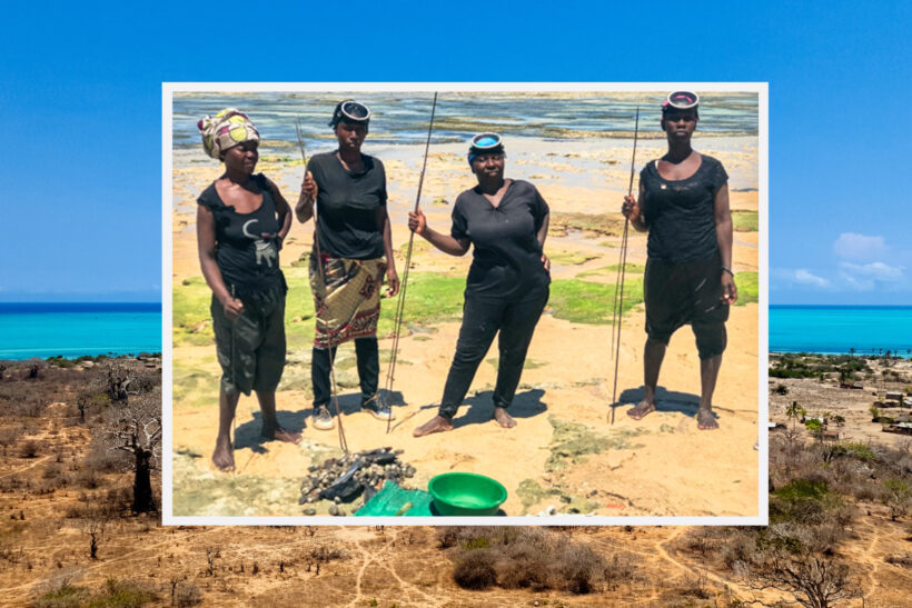 3 2 Moz Project Summary Rcc Women Divers 2