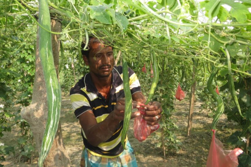 iDE BAN Abdullah Al Mumun Callout 3X2