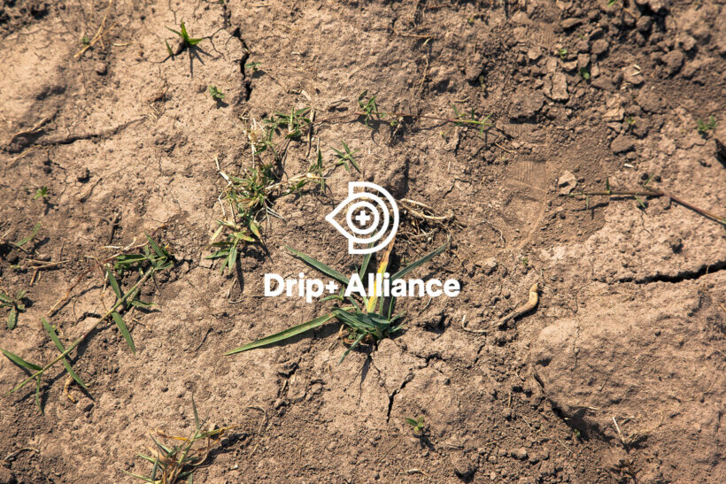 iDE PC Drip Plus 3x2