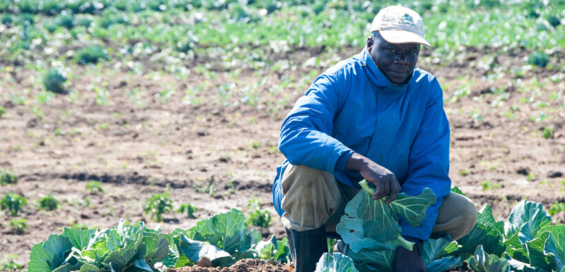 iDE PC Market Facilitation Extended Caption