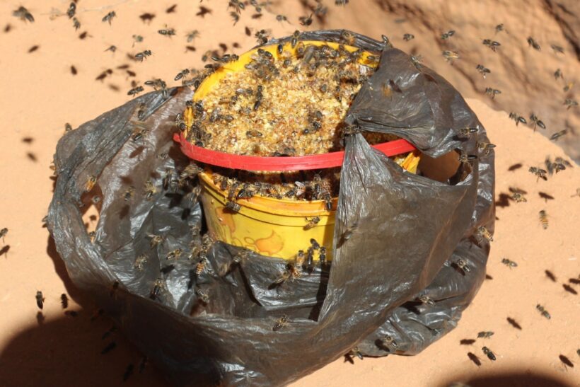 Ripa Hcd Beekeeping Callout 3X2