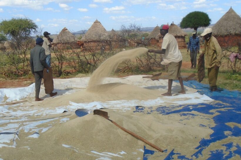 Ripa Hcd Grain Tarp Callout 3X2