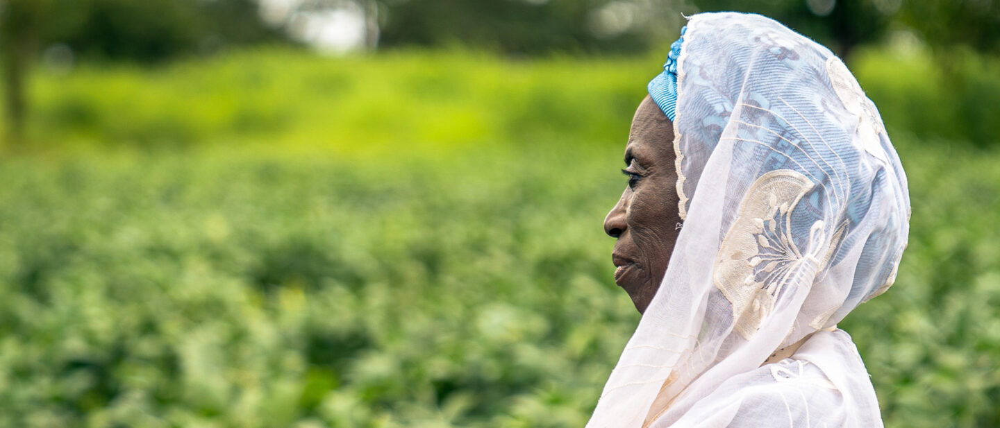 21X9 Ghana Shei Hero Image