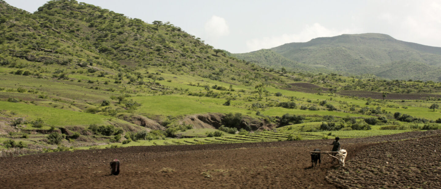 iDE Hero Ethiopia Ag