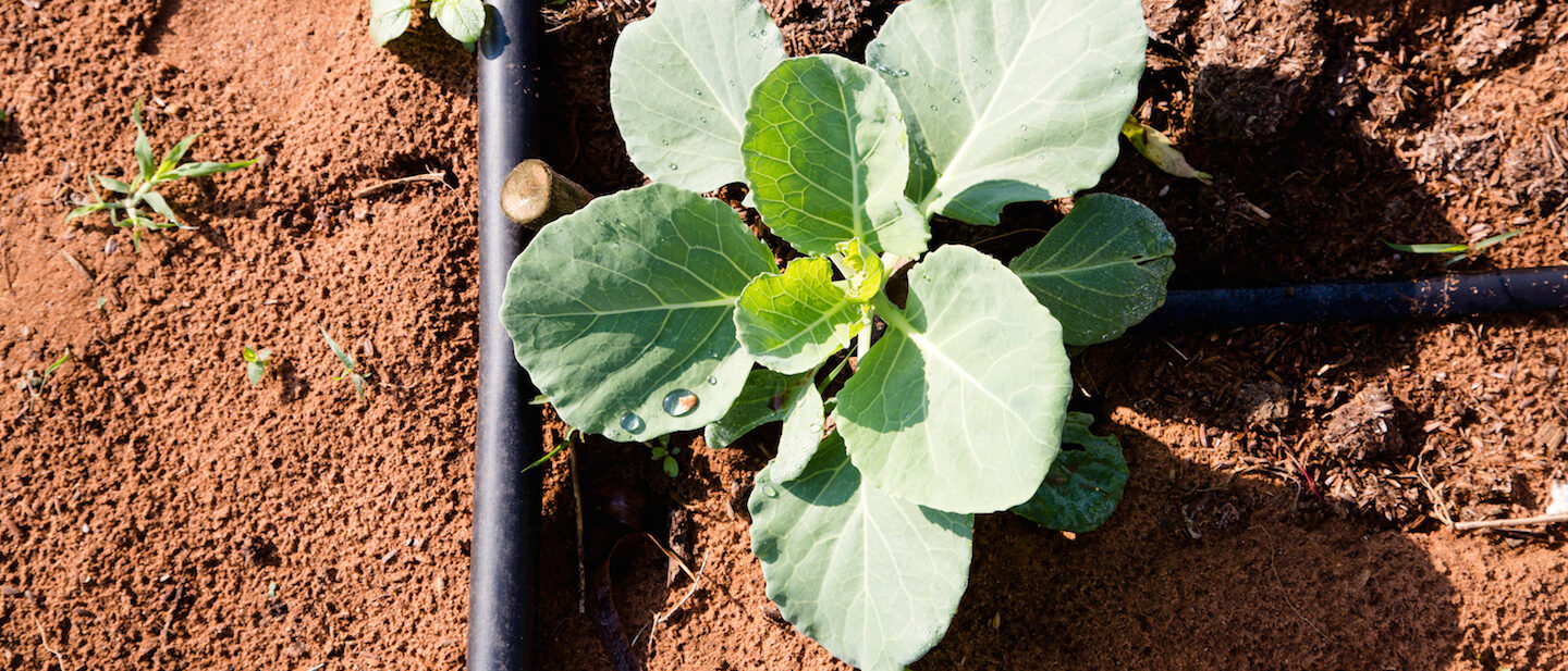 iDE Hero Moz Ambassadors of Progress