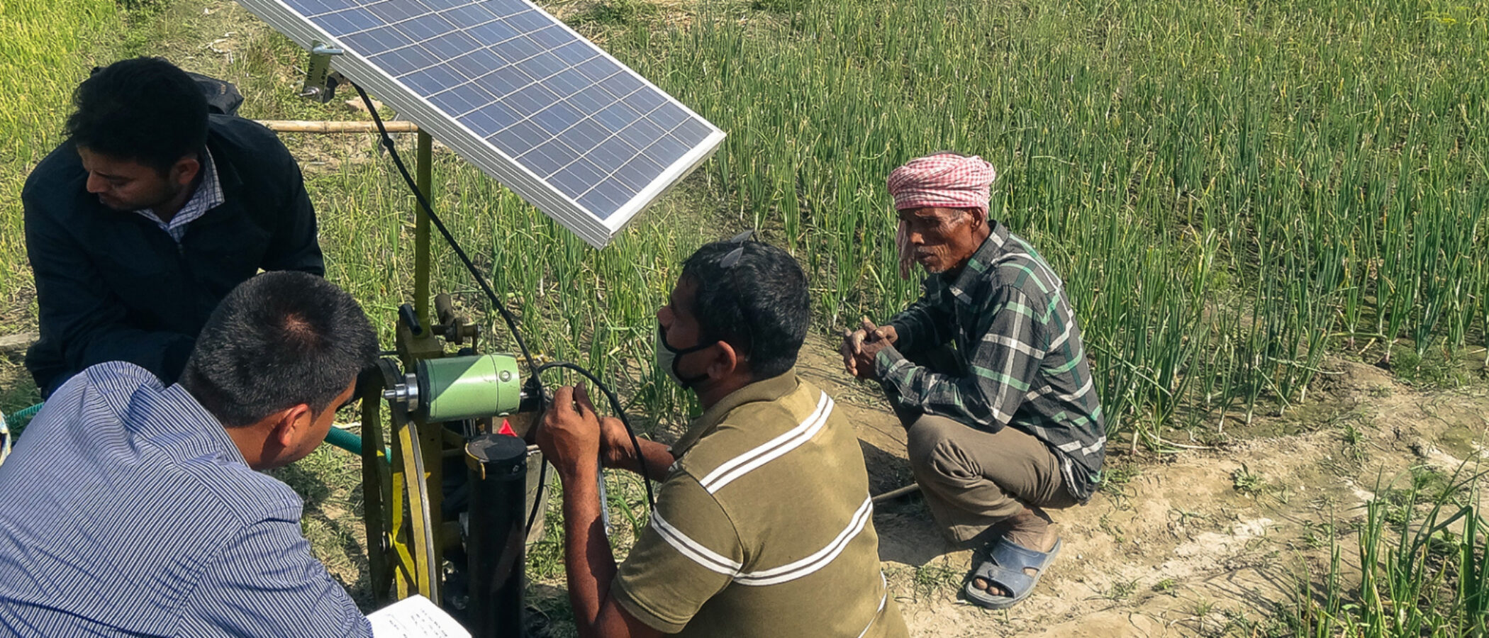 iDE Global | Agriculture