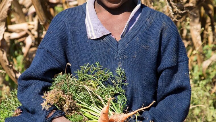 iDE Global | Supporting small-scale agriculture and finance options…