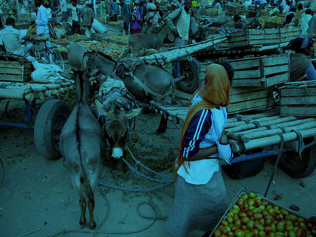 I De Pers Hero Investor