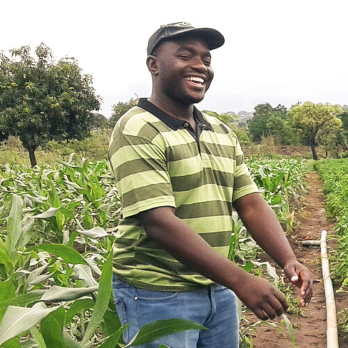 Llionel Simbarashe Zisengwe