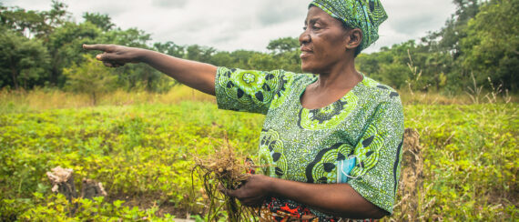 iDE Global | Supporting small-scale agriculture and finance options…